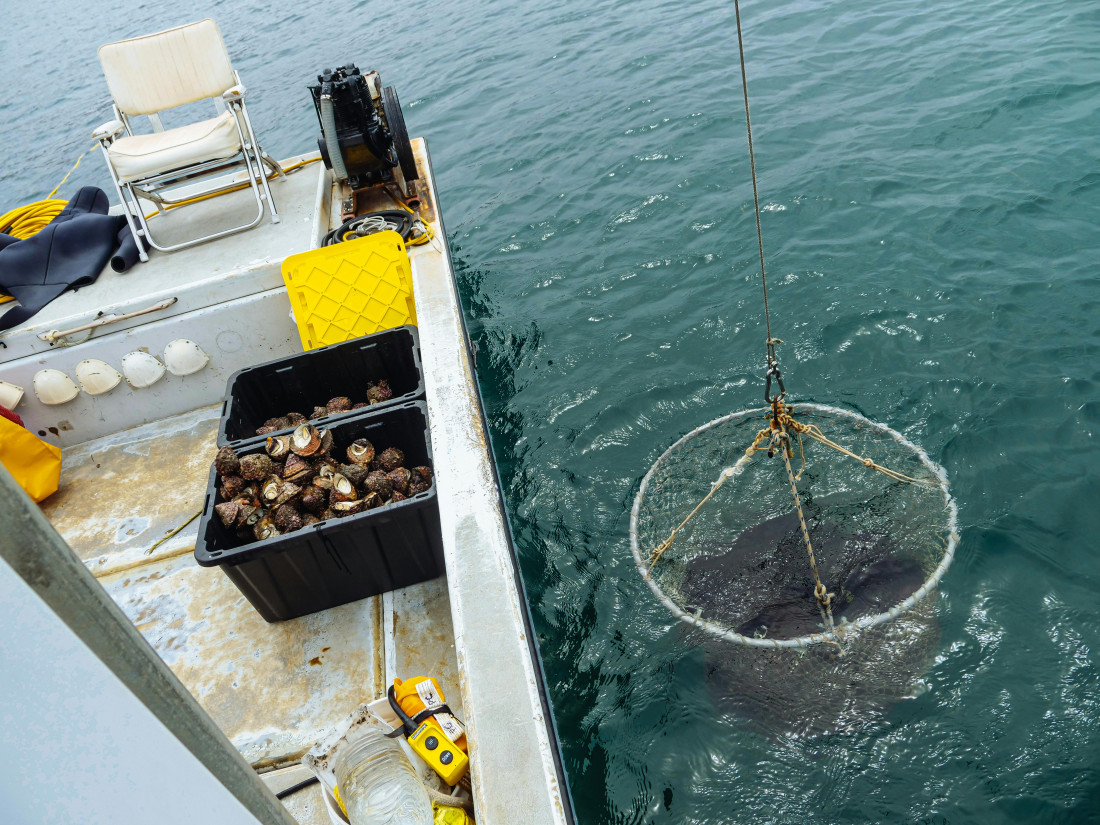 Fishing boat deckhand | Career Profiles | Buckinghamshire Skills Hub